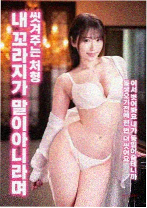 影子收藏家电影海报